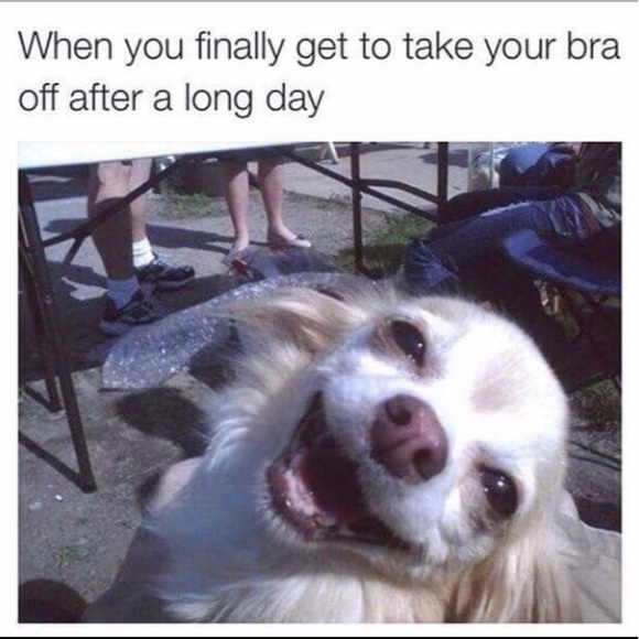 Meet your Posher, Haley - Picture 8 of 8